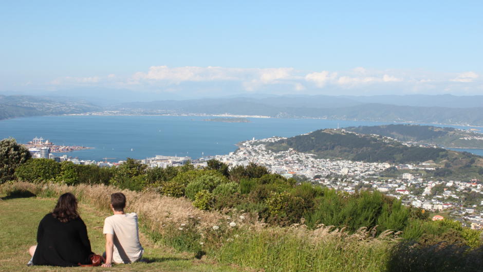 Locals enjoying the majestic views of Wellington and the harbour.