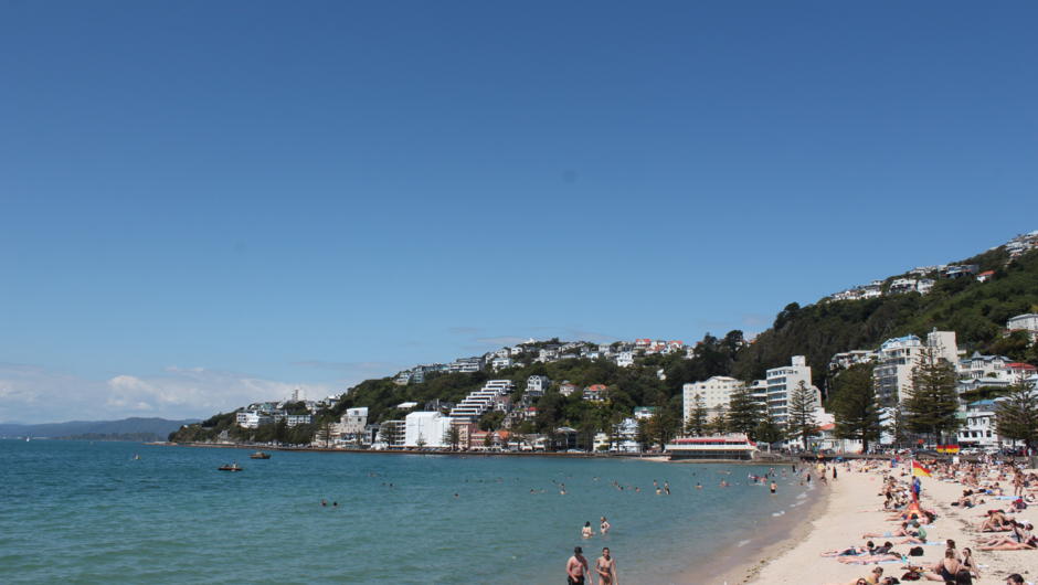 The very picturesque Oriental Bay.