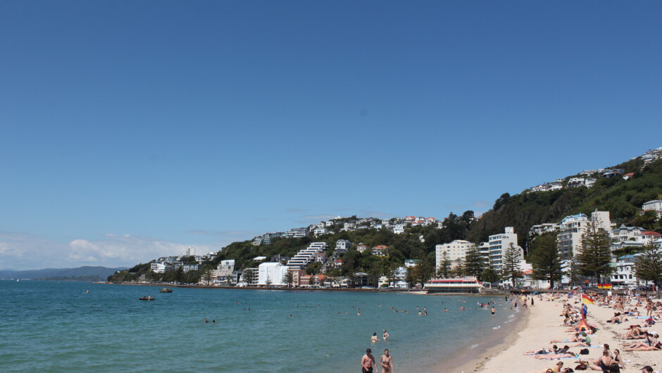 The picturesque Oriental Bay.