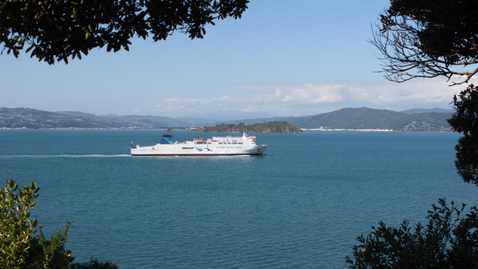 The Interislander Ferry on her way to the South Island.