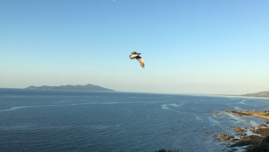 The majestic view of the Kapiti Island and Coast from Pukerua Bay.