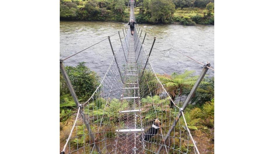 The swing bridge over the Wairaurahiri River to the Rowallan Block.