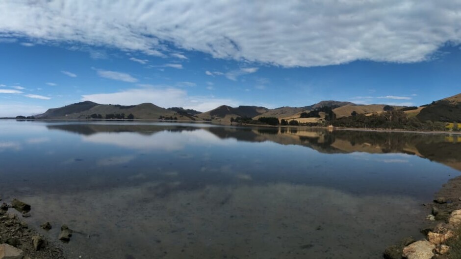 Hopper's Inlet - a paradise for wading birds, royal spoonbills, stilts, black swans, spur winged plovers, king fishers, paradise shell ducks, oyster catchers