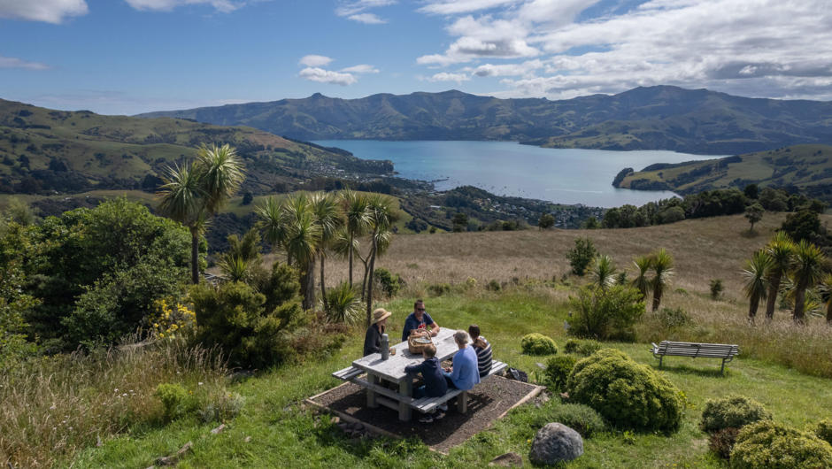 Akaroa History and Nature Tour morning tea with The Seventh Generation, locally owned and operated and guided by expert local guide Marie Haley