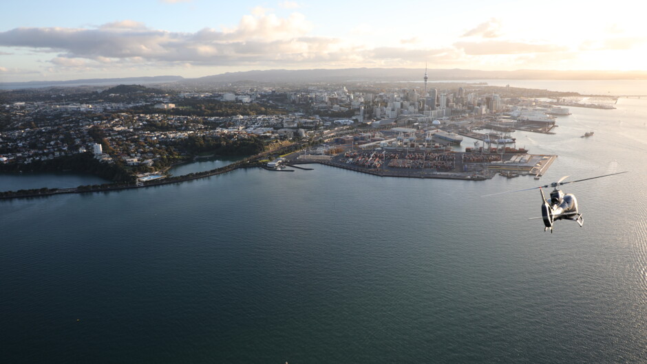 Auckland City Scenic