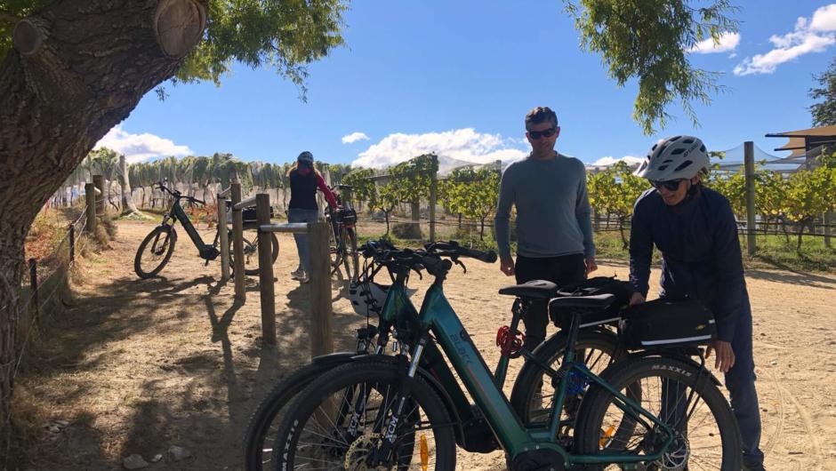 Cruise the Bannockburn Vineyards by eBike and sample the distinctive and complex wines this region is producing. Where the Kawarau river slows down and meets Lake Dunstan it's known as Bannockburn. This is truly the heart of the Pinot Noir growing region.