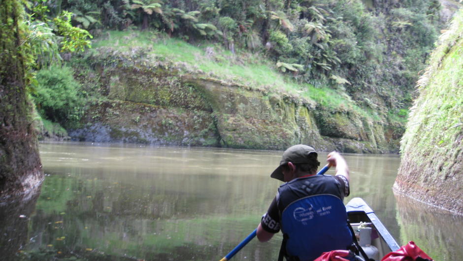 Exploring the side streams. Peace and Quiet. Whanganui River