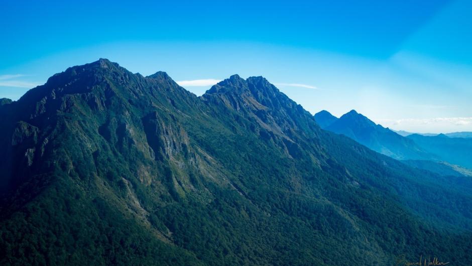 Hikurangi Maunga is our sacred mountain  - nau mai haere mai! Come and experience this special Taronga.(treasure).