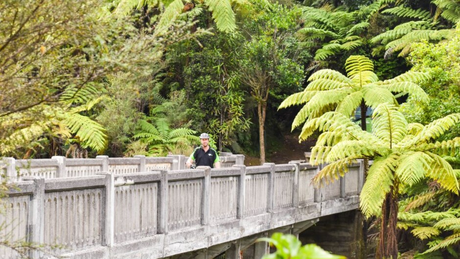 Bridge to Nowhere