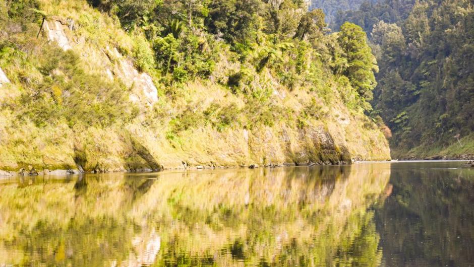 Reflections on the Whanganui River