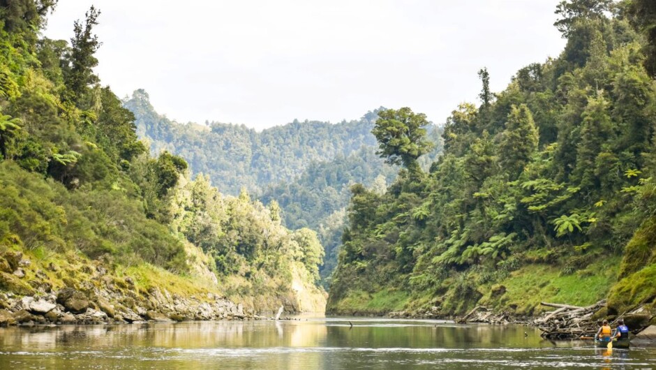Whanganui River beauty