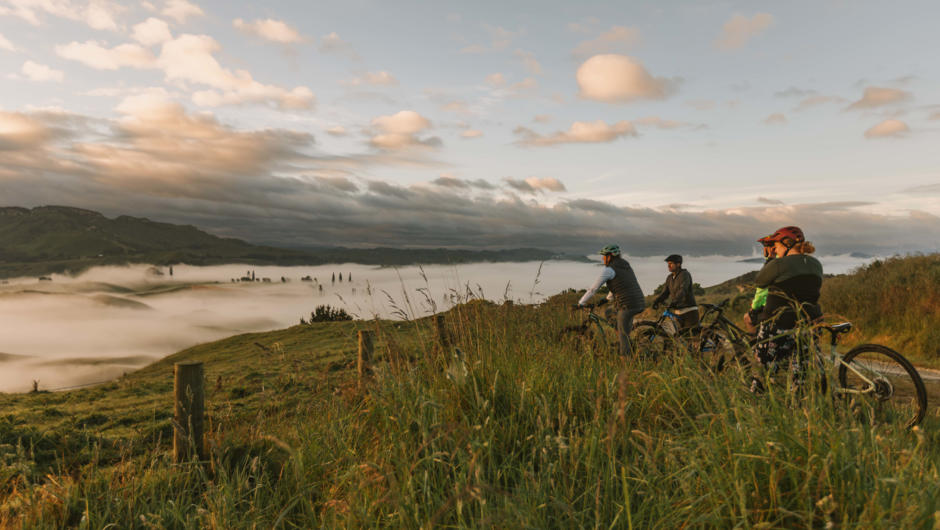 Take in the unspoilt views of Central North Island hill country.