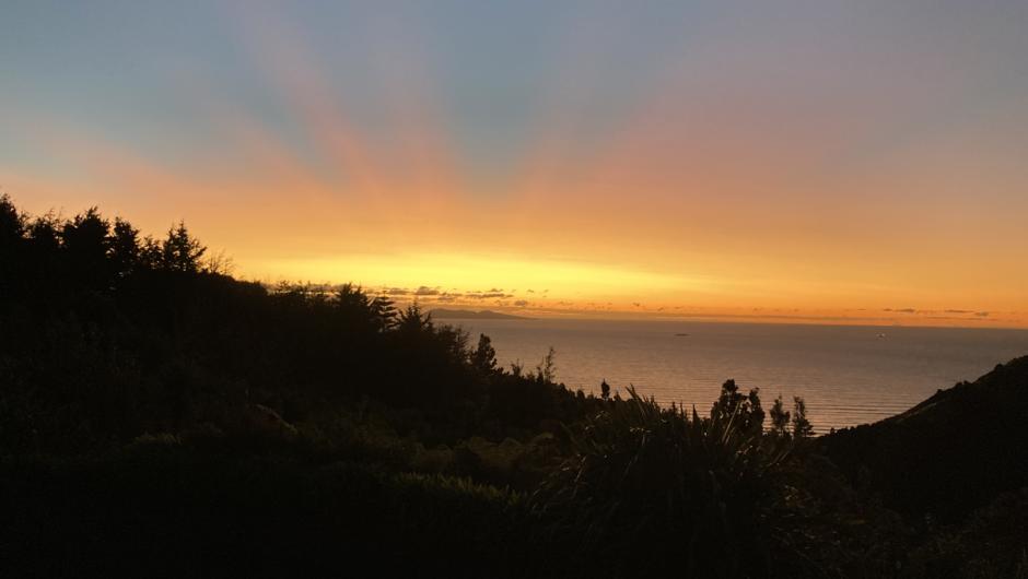 Magical sunrise over Tuhua (Mayor Island) viewing from the Retreat deck.