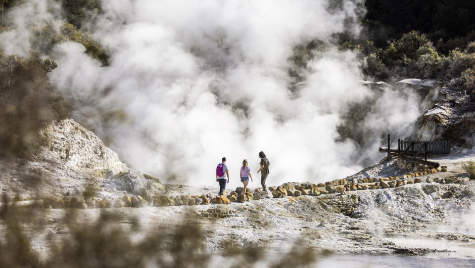 Hell’s Gate features the largest hot waterfall in the Southern Hemisphere, and the largest mud volcano in New Zealand, steaming fumaroles, pools of boiling mud, land coral, sulphur crystal deposits and many boiling pools with temperatures in excess of 100