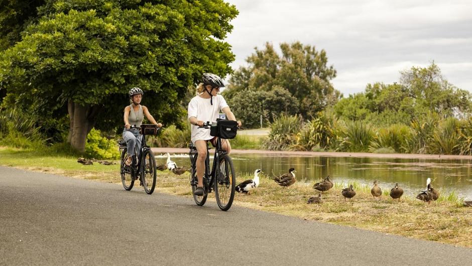 Biking Te Awanga - we rent bikes