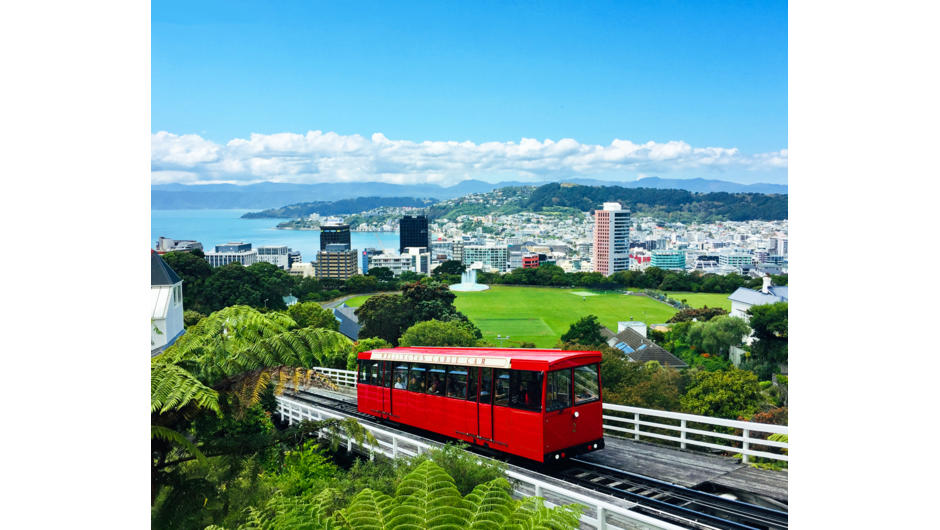 You have to experience the view from the top of Wellington Cable Car.