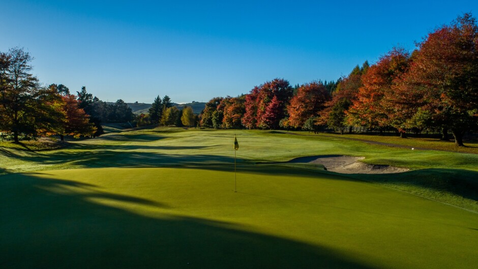 3rd green, Wairakei Golf + Sanctuary