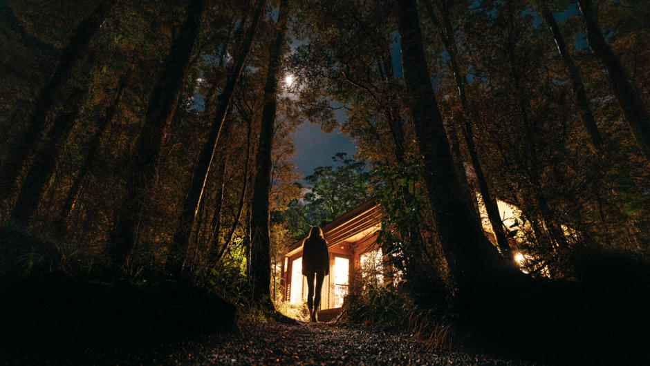 Night walk through the rainforest campervan park