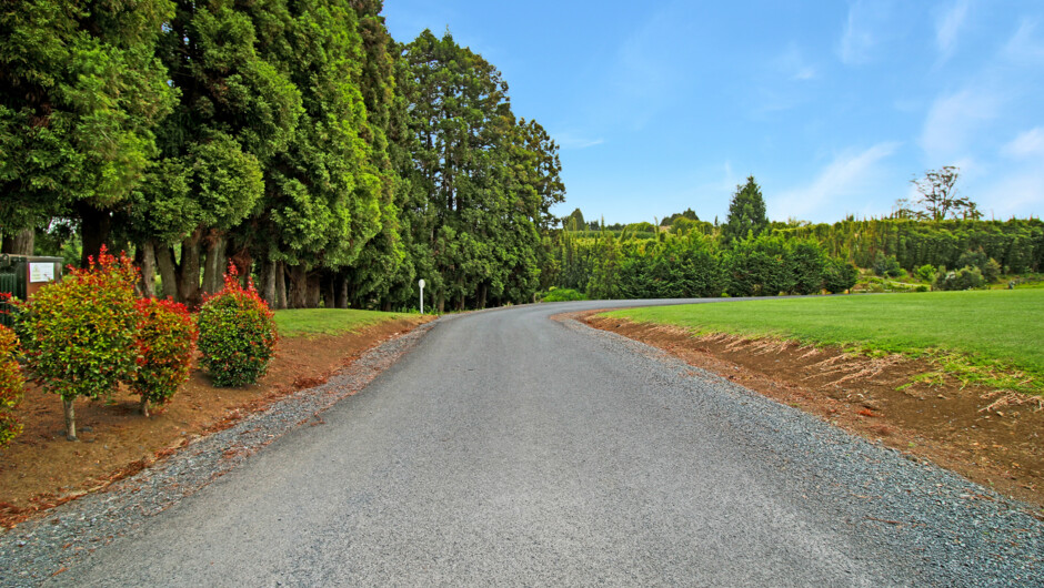 Beautiful quiet off road setting - the welcoming drive to the Lodge