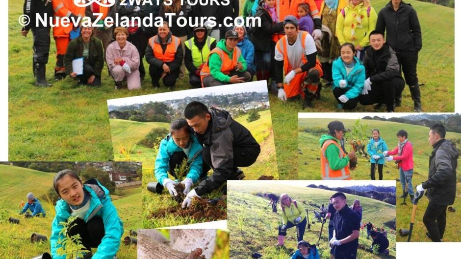 weekend environmental activities like plant native trees with the locals while studying English in New Zealand