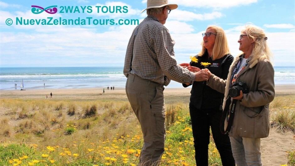 create your own stories while strolling along this magic black sandy surf beach of Tasman Sea