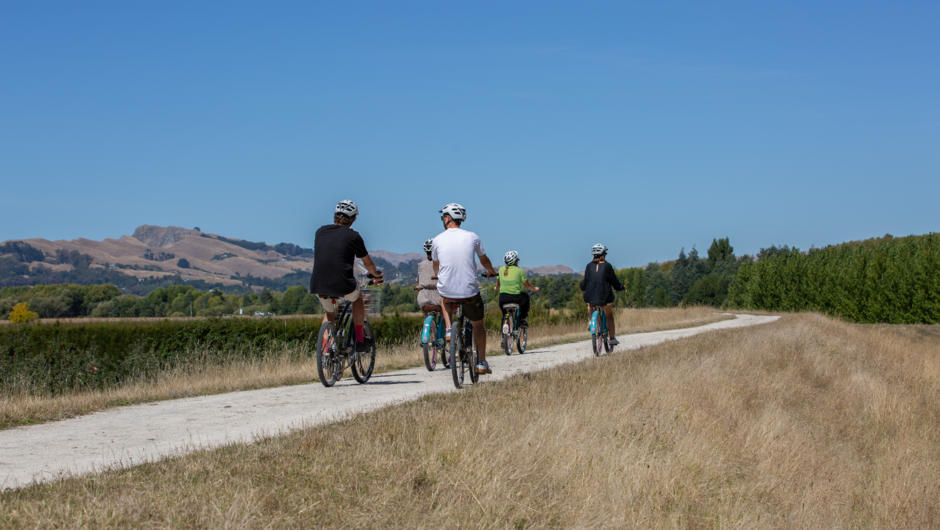Cycling our dedicated cycleway is relaxing and fun, with Te Mata Peak in the distance.