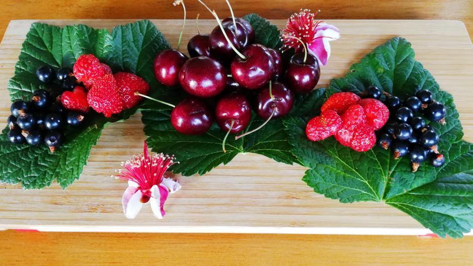 Seasonal homegrown fruit and berries for breakfast.