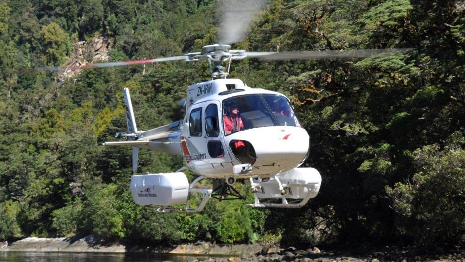 Land or lift off from a remote beach if you choose to book on one of our Heli trips! The best way to view Fiordland is by boat or by air. Why not do both on one trip?