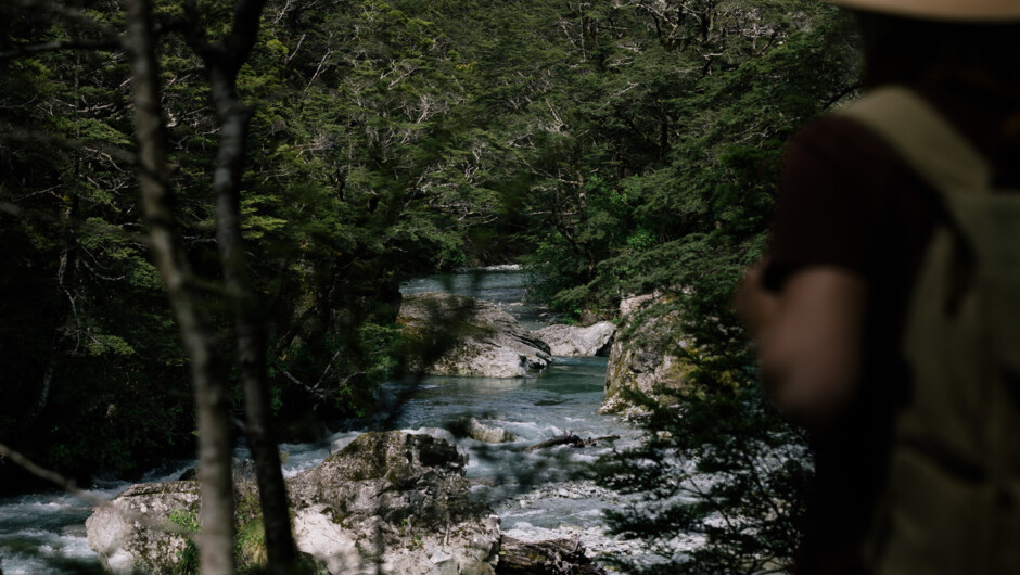 Hiker discovering glacier fed river on a Great Walk of New Zealand with Walk into Luxury