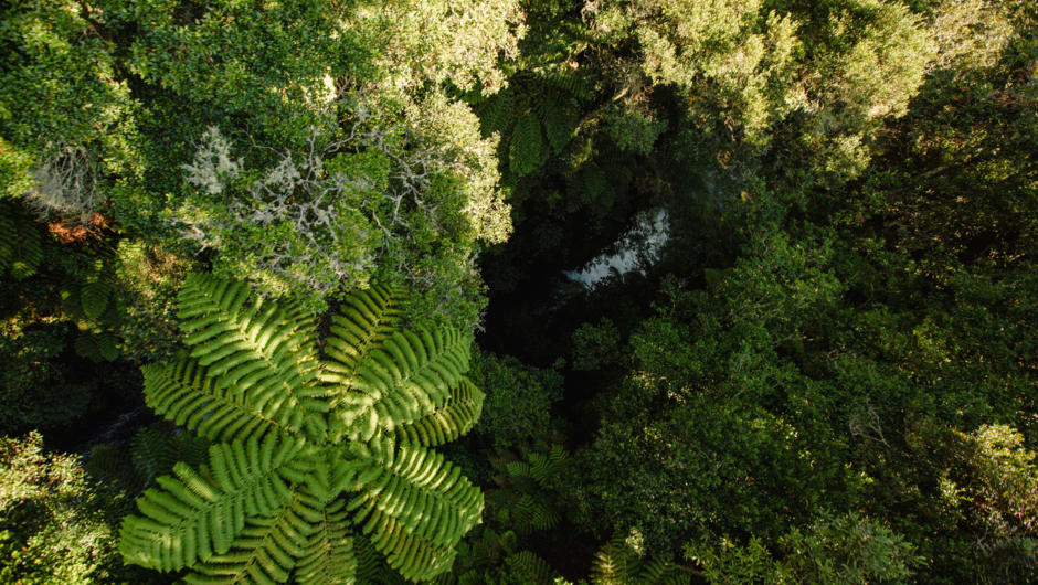 The Amazing Views from above the Kaituna River.