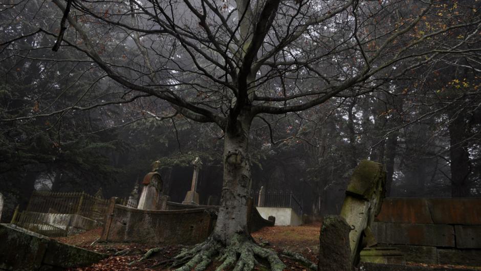 The spooky old cemetery