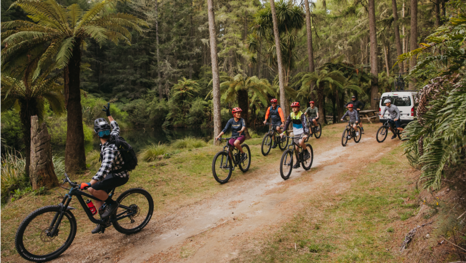 Let us show host you through the world famous trails of the Whakarewarewa Forest in Rotorua.
