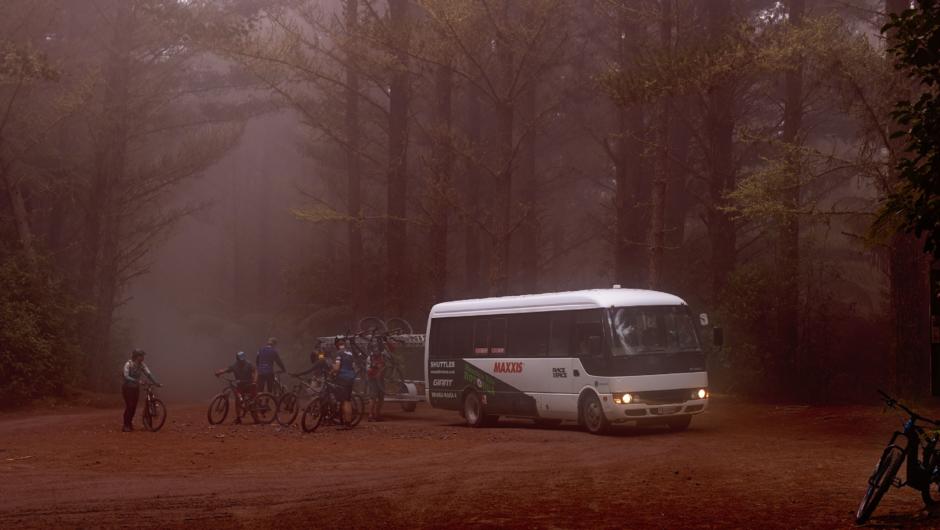 Moody day in the Whakarewarewa Forest. Public Shuttles operate all year round.