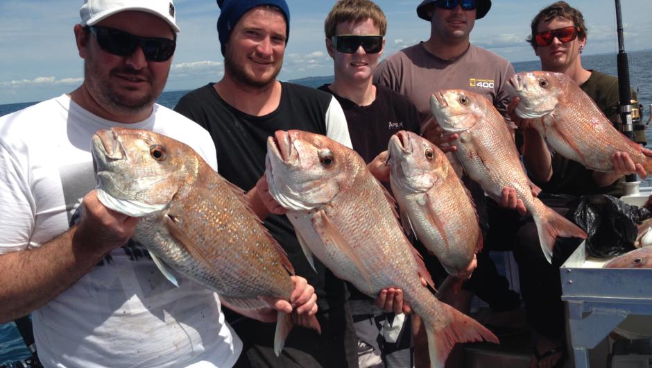 Healthy snapper from the deep