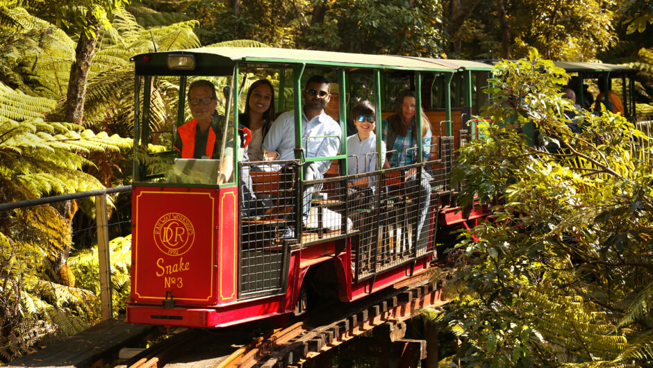 Rail tour through a lush regenerating native forest.