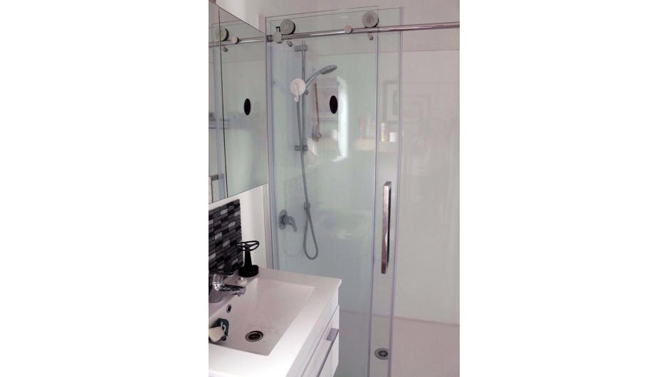 Large Walk In Shower basin and toilet in the Large Studio Apartment.