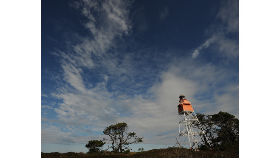 Top of the South Sky.