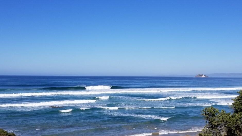 Dunedin Waves.