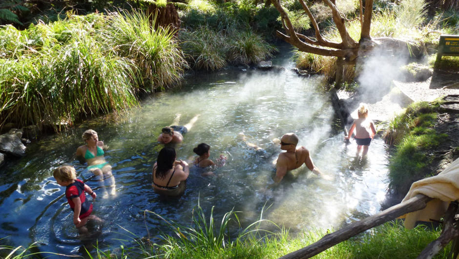 Natural Bush Hot Pool