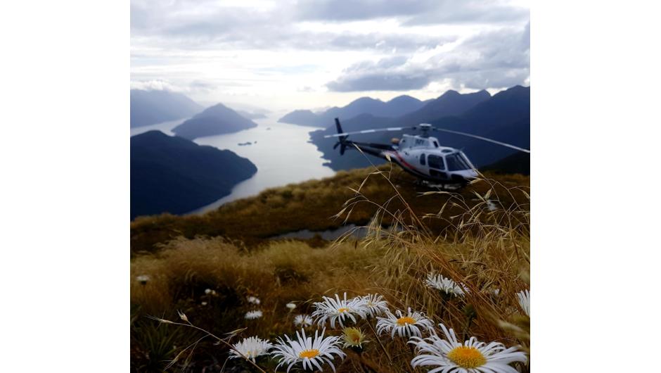 Overlooking Dusky Sound in the Fiordland National Park.