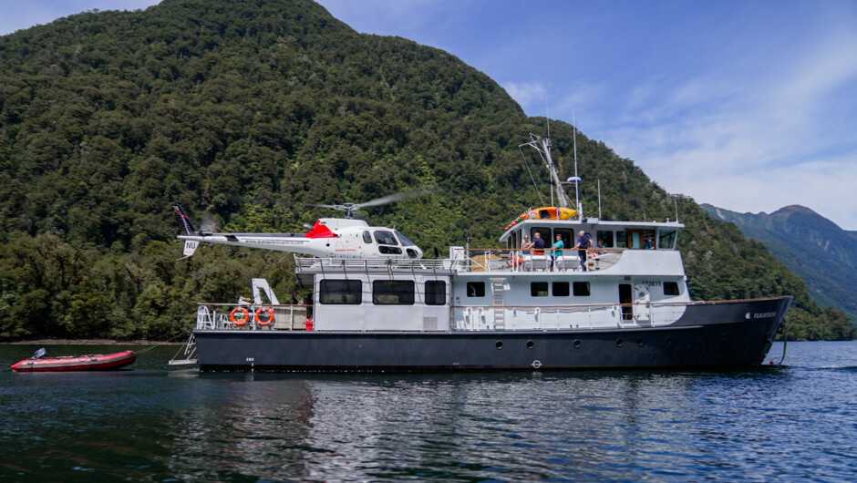 M.V Flightless, your floating home away from home. At 27m she almost the same size as Captain Cooks ship but with far less people. We can cater for up to 12 clients and everything asides from alcohol is included. Catering, bedding and towels, fishing rods