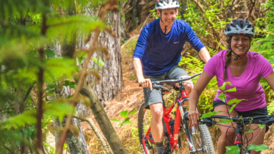 Explore native bush and pine forest at the world-class Waitangi Mountain Bike Park.