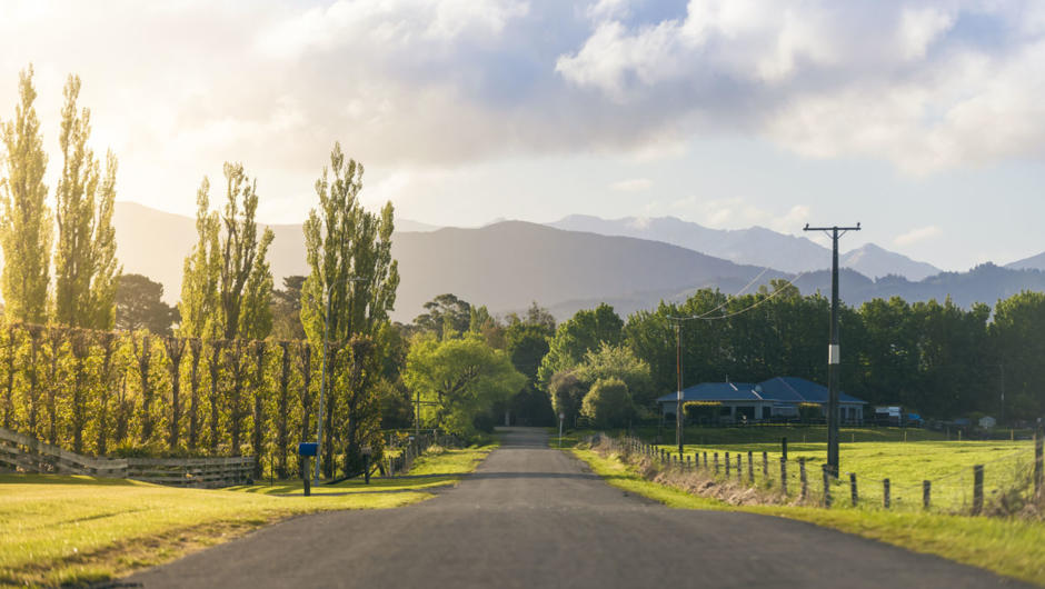 Dreamy rural scenes on the outskirts of Greytown. The lanes surrounding the town are perfect for leisure cycling.