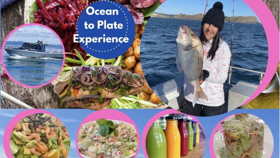 Join Debbie and Mike for the Ocean to Plate experience.  This is a whole day experience fishing, snorkelling, swimming and amazing food made from local and fresh ingredients within the beautiful Mercury Islands in the Coromandel, departing from Whitianga.