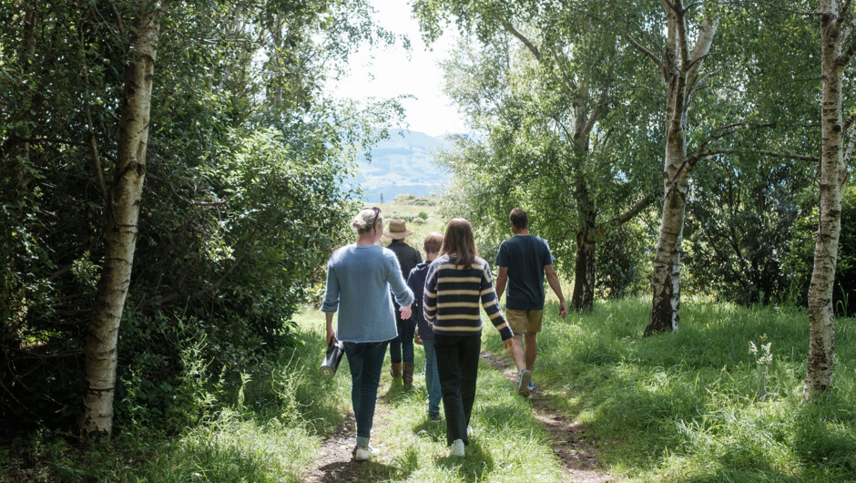 Get off the beaten track on a small group or private tour, connect to New Zealand nature and heritage #ifyouseek peace and renewal.