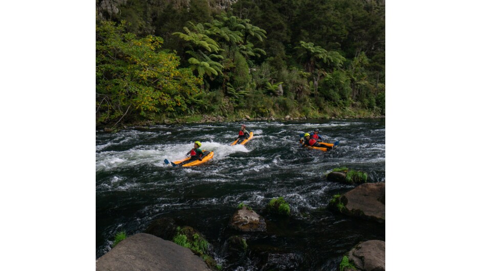Fun rapids in the gorge