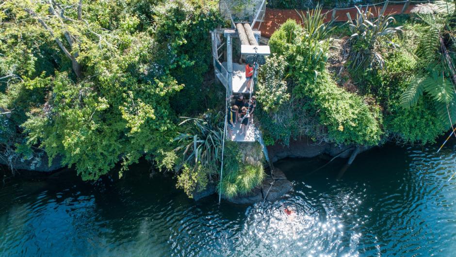 Tarzan Swing- Waimarino Adventure Park
