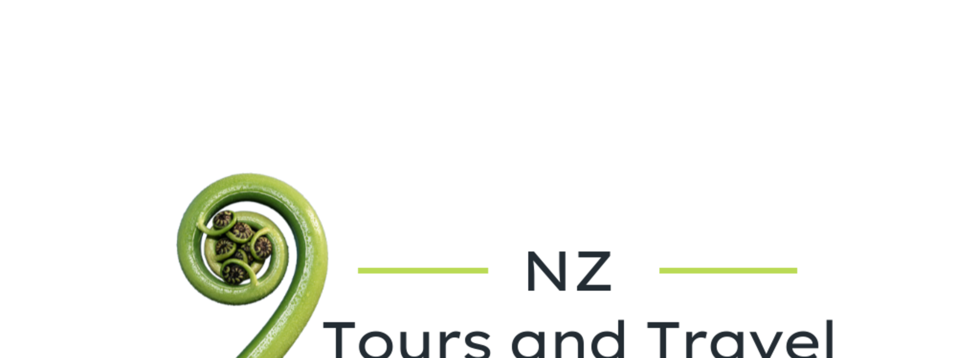 NZ Tours and Travel logo.png