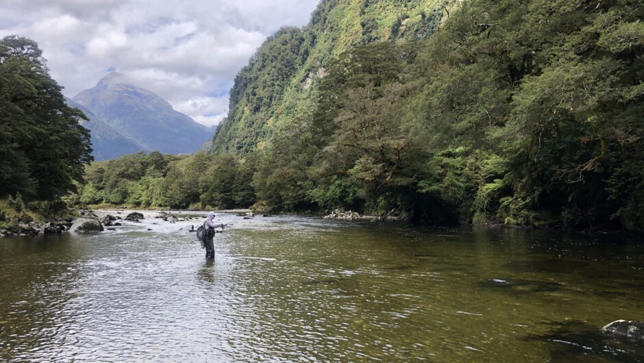 Trips into the Fiordland Wilderness are not for the faint hearted or inexperienced angler. Fish numbers are typically low, so it is quality over quantity fishing. Fiordland's fierce sandflies, wet weather and diverse terrain combines to humble most angler