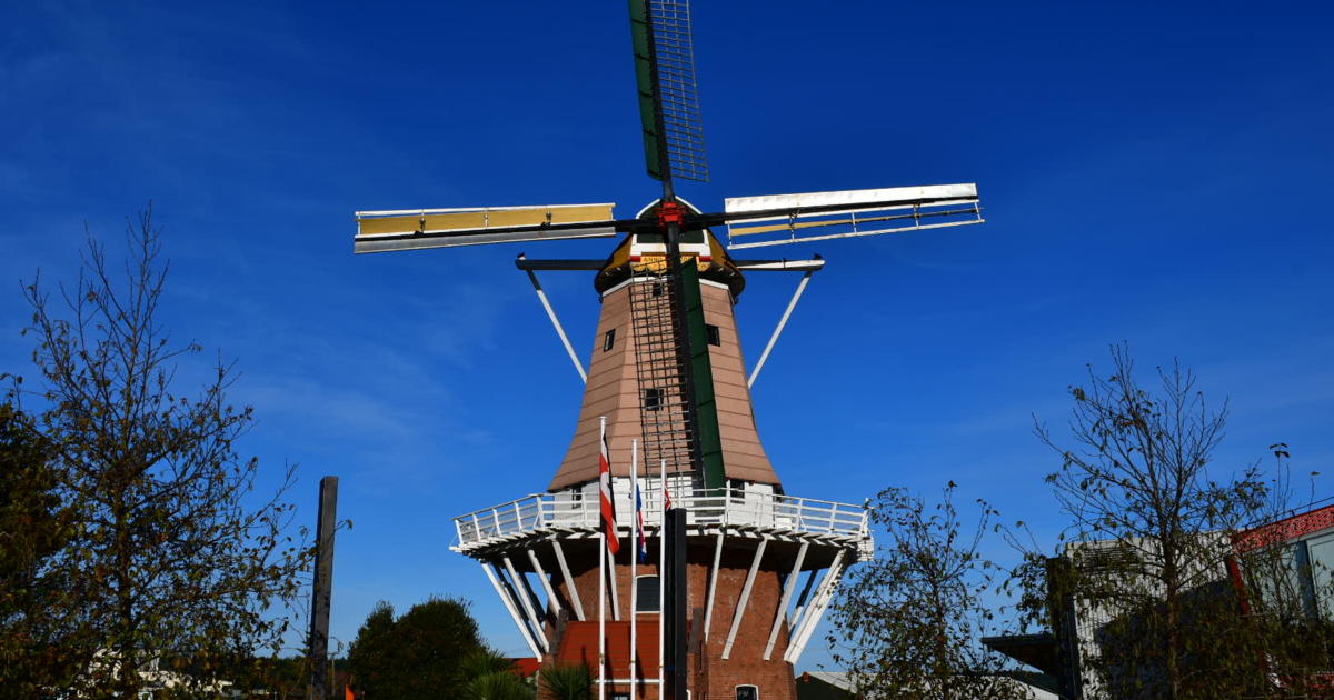 foto Smash maatschappij De Molen, Dutch Windmill - Foxton | Activity in Manawatu, New Zealand